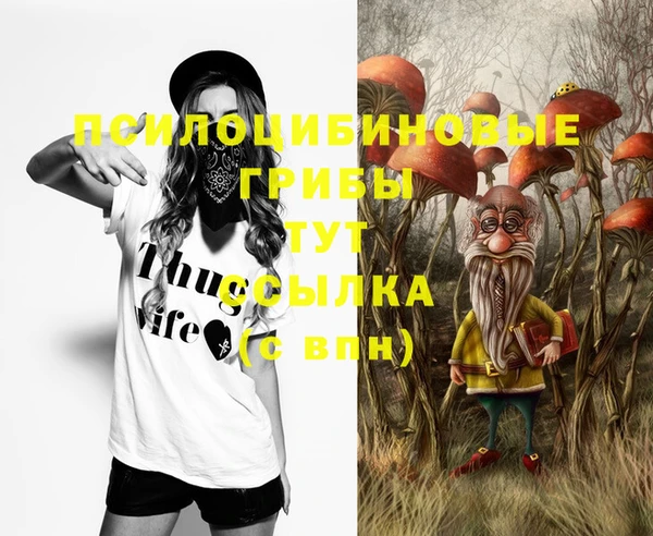 винт Саяногорск