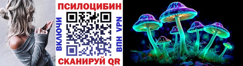 Купить закладки Магас Псилоцибиновые грибы Psilocybine cubensis