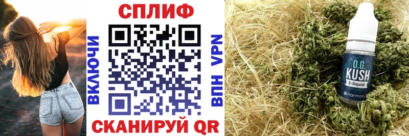 Купить закладки  Магас  Шишки марихуана конопля 